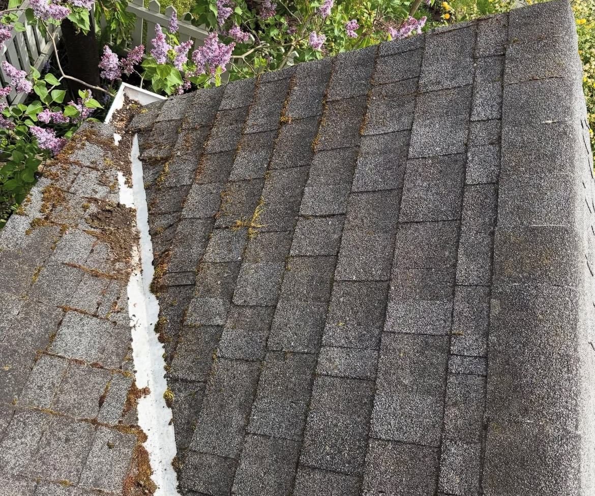 Gutters before cleaning