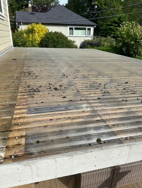 Roof before moss removal