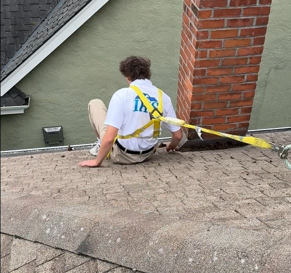 Professional roof care services
