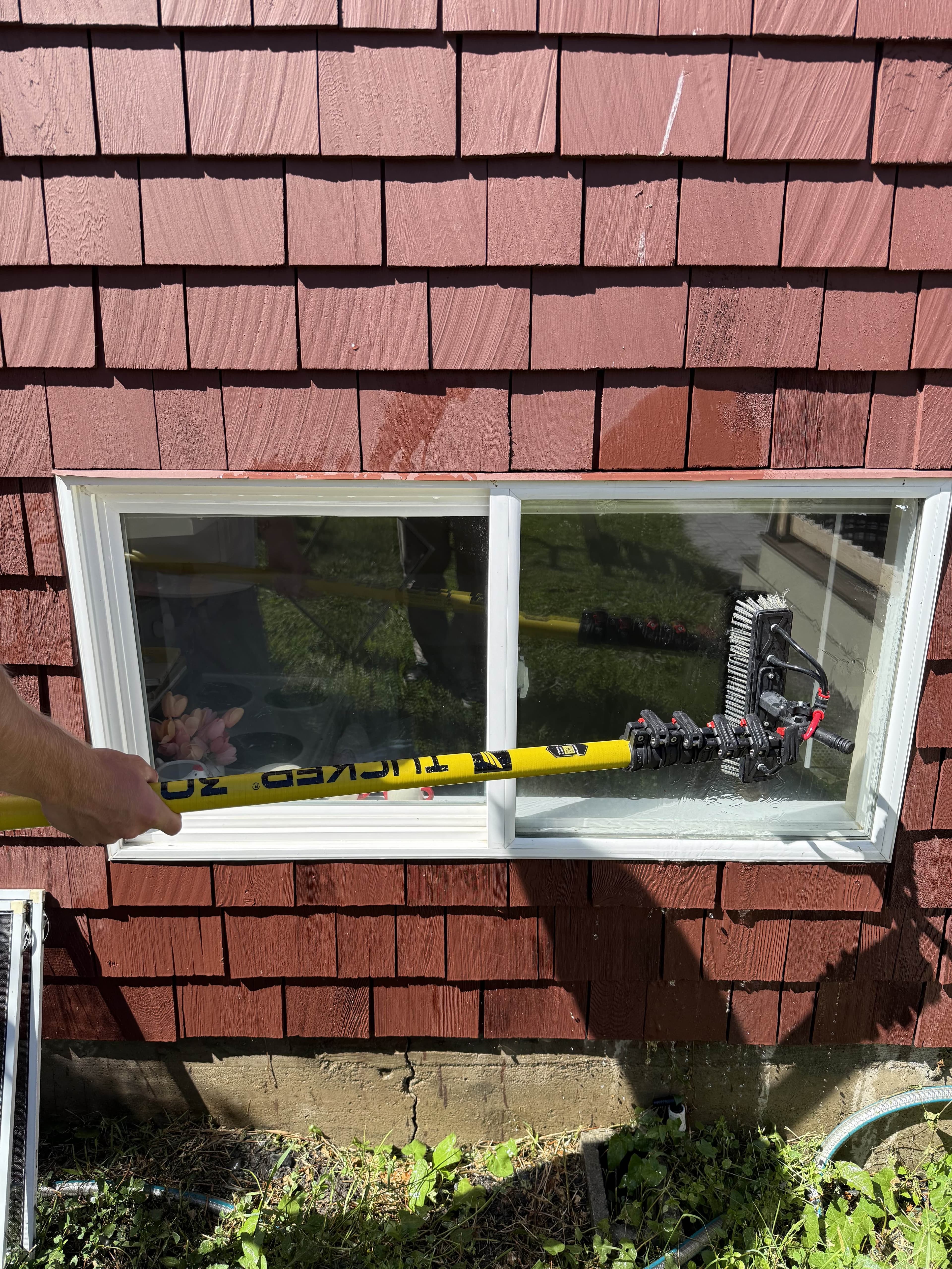 Windows after cleaning